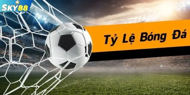 Hình dung rõ về tỷ lệ kèo bóng đá