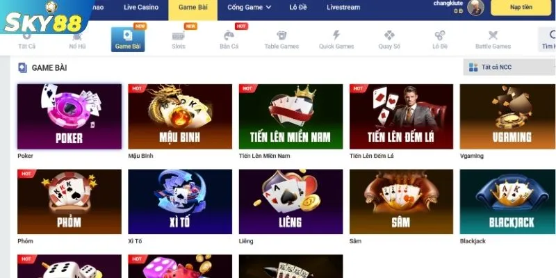 Tổng quan về bài poker